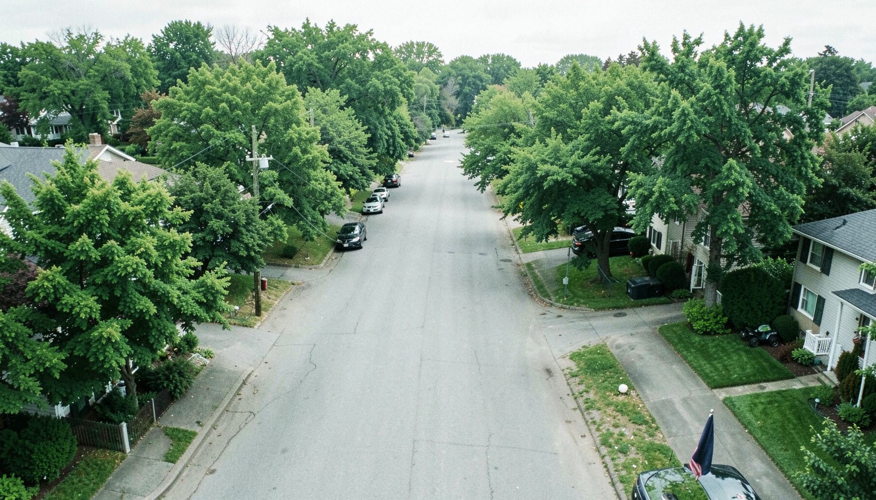 Aerial documentary photograph of a calm suburban street lined with trees, soft daylight, muted green and gray palette